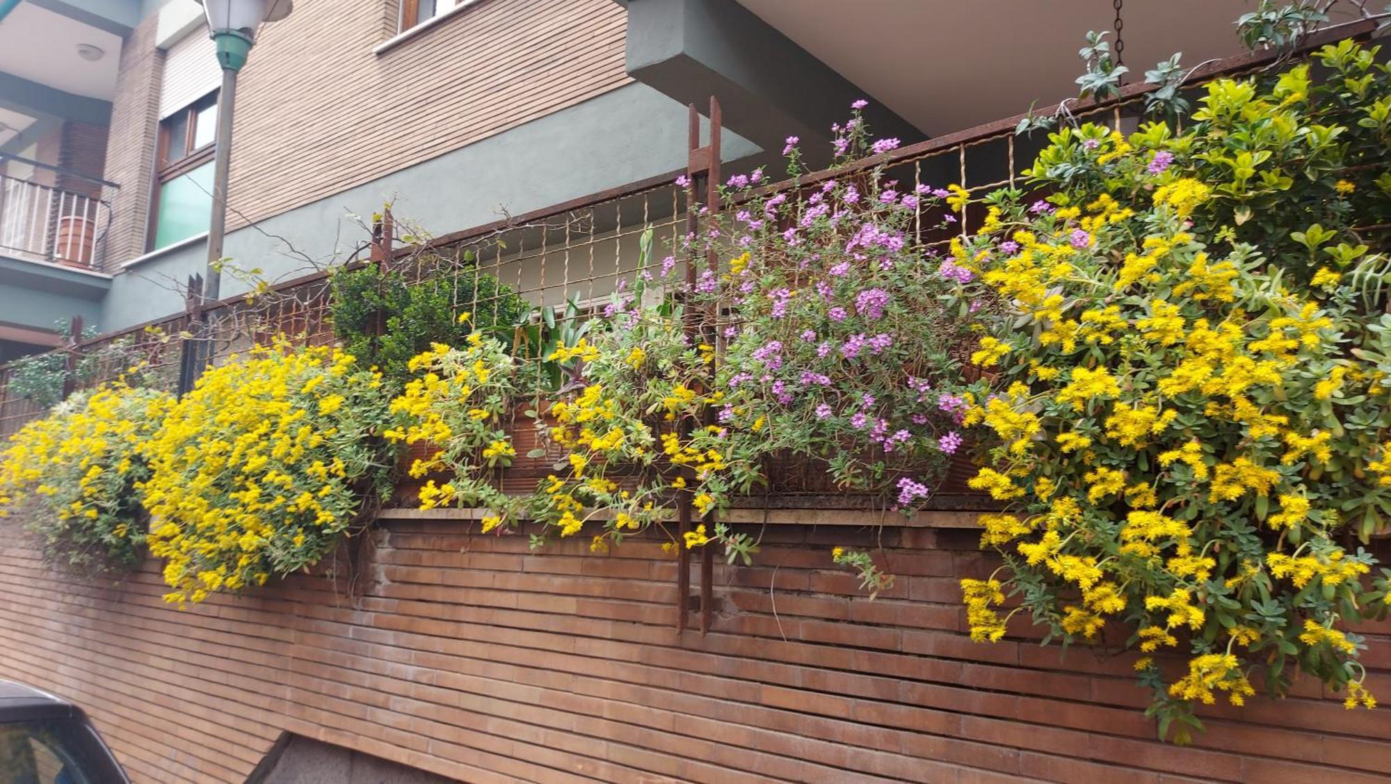 Appartamento Isabella โรม ภายนอก รูปภาพ