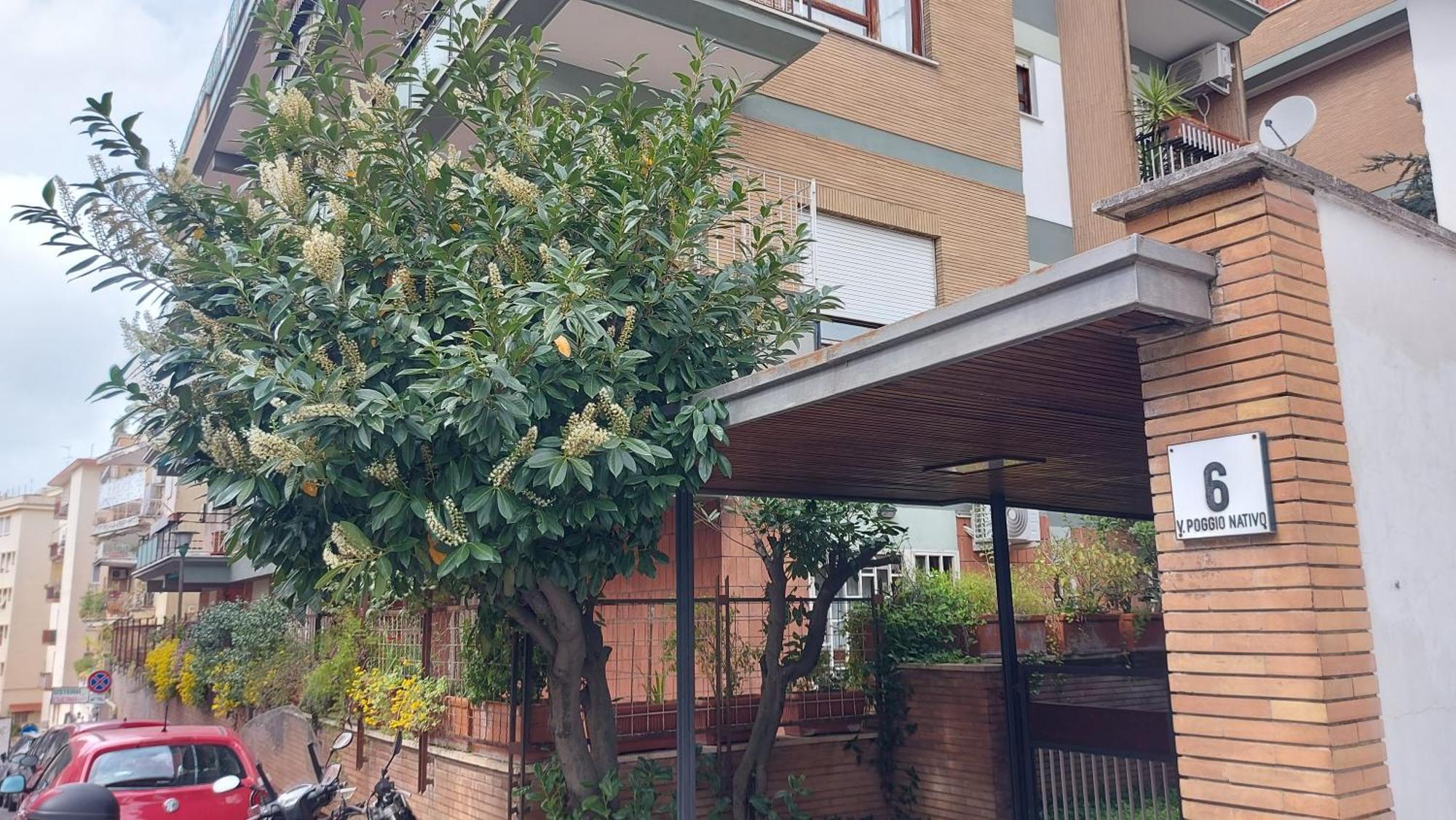 Appartamento Isabella โรม ภายนอก รูปภาพ